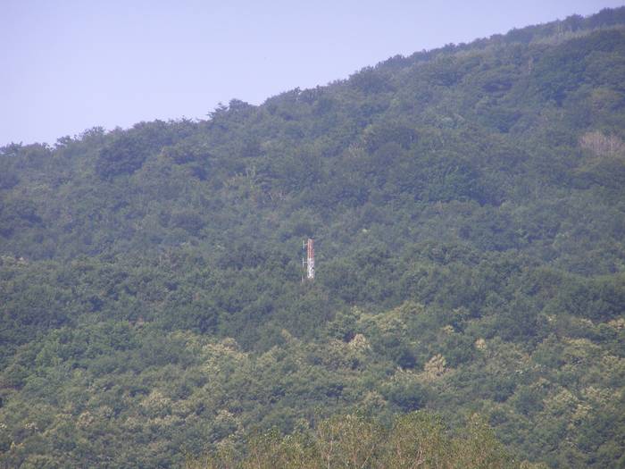 Gobernuak irrati lizentzia berritu du