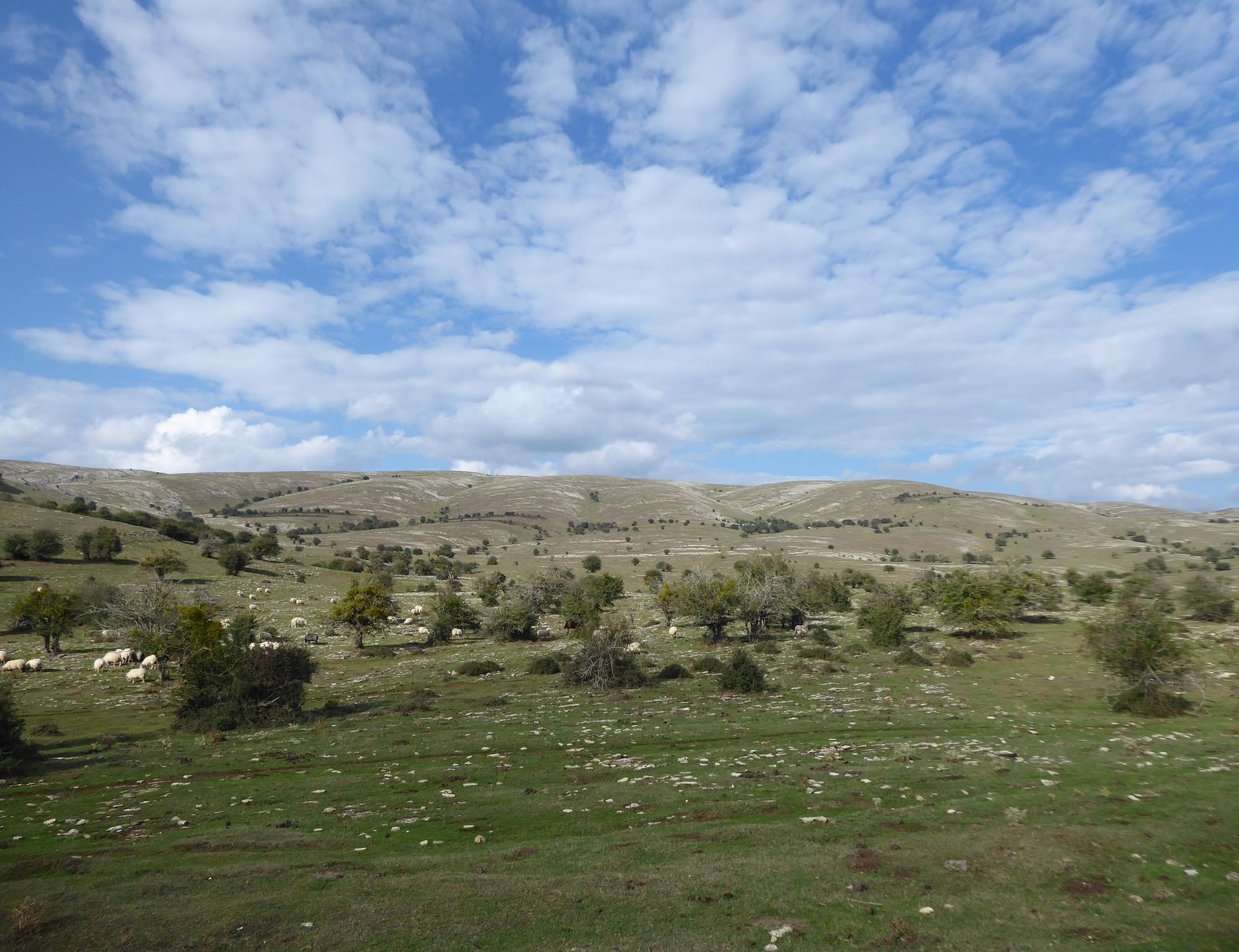 Natur parkean 29 sare eginen dituzte