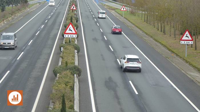 Trantsizio berderako bide grisa: 1,9 milioi ibilgailu Hego Euskal Herrian; gehienak, 14 urtetik gorako diesel turismoak