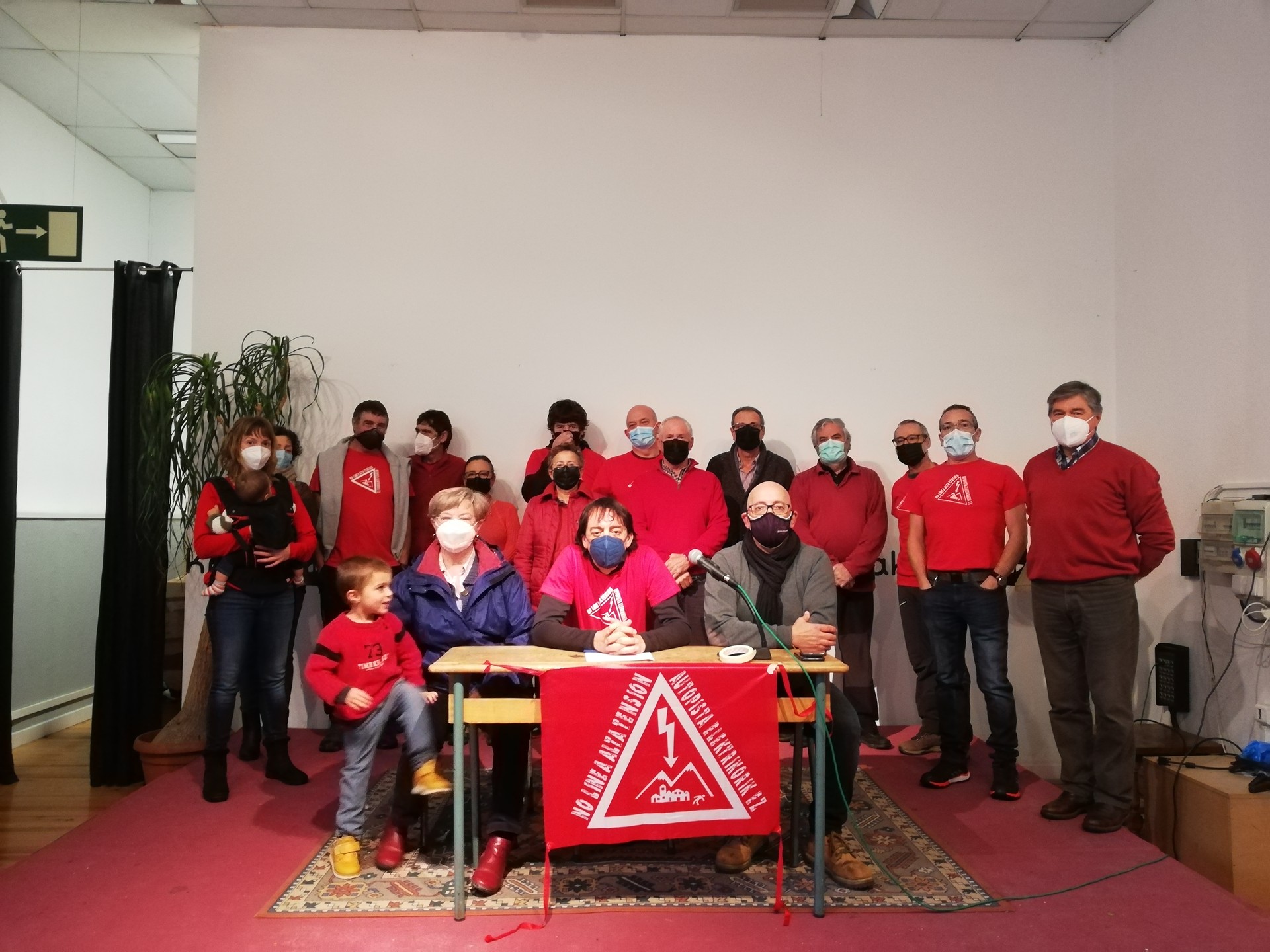 Hamabi udalek goi tentsioko lineen kontrako alegazioak aurkeztu dituzte