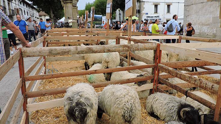 Artzainak festaren irudi eta ardatz