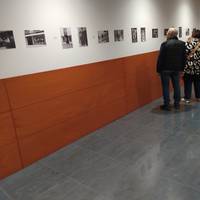 Altsasuko merkataritzaren erakusketa