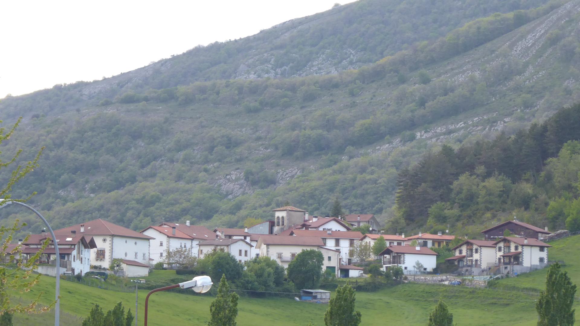 Aralarren gora gasbidea?