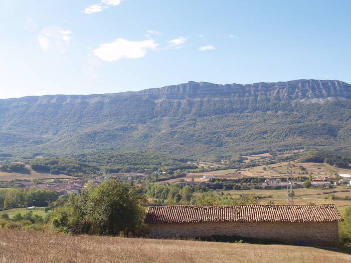 Ogasunak higiezina enkante bidez salduko du