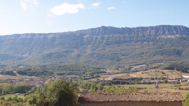 Ogasunak higiezina enkante bidez salduko du