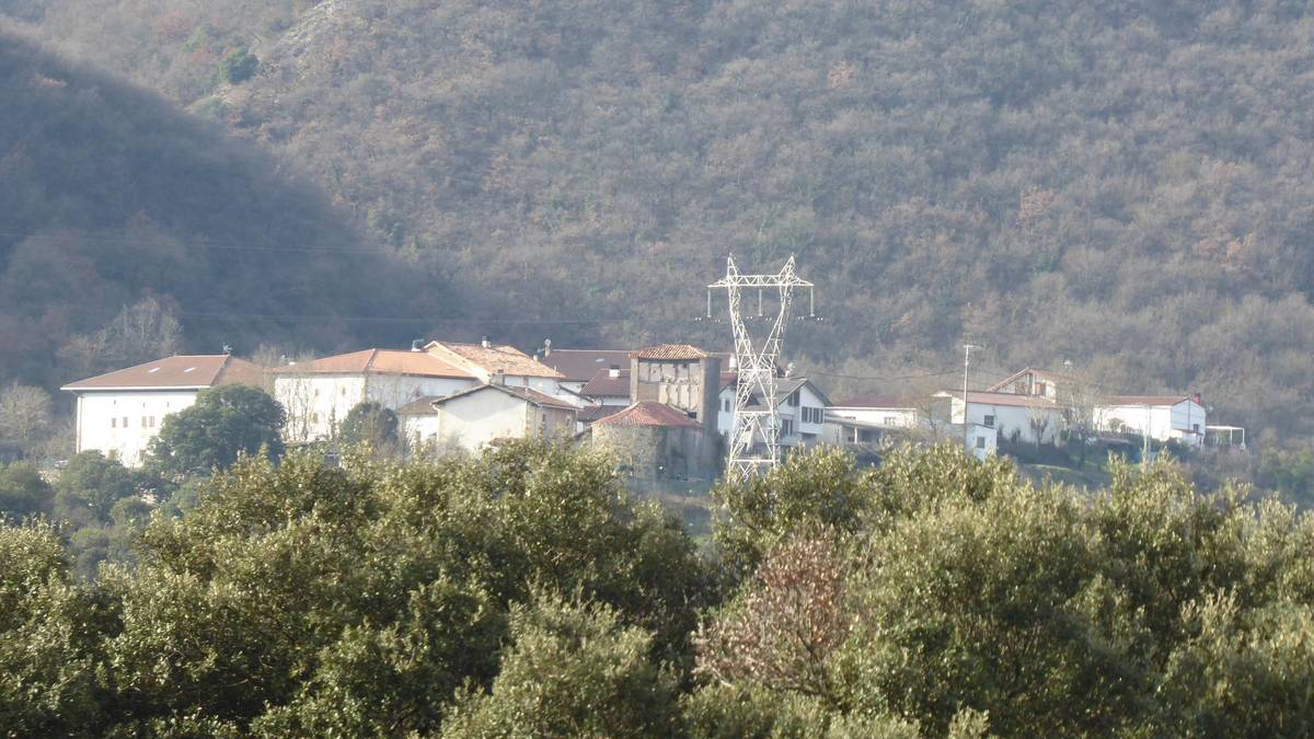 Kontzejuak baso aprobetxamendua saldu du