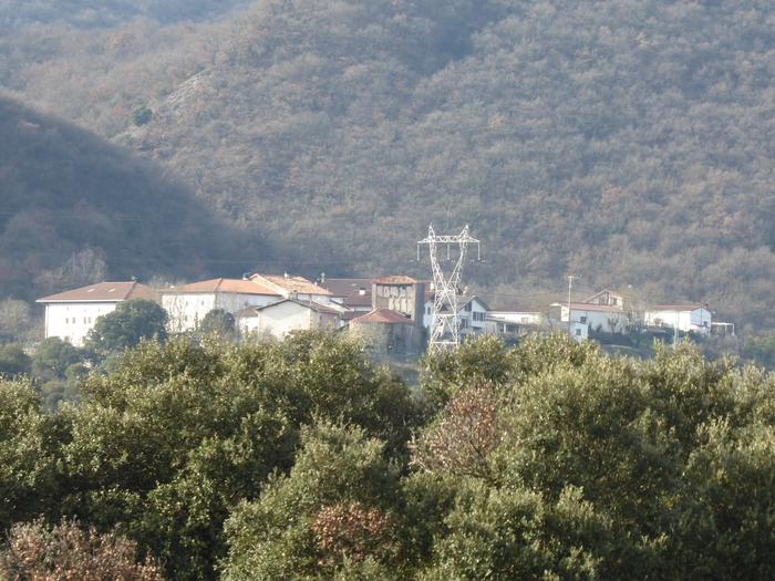 Kontzejuak baso aprobetxamendua saldu du