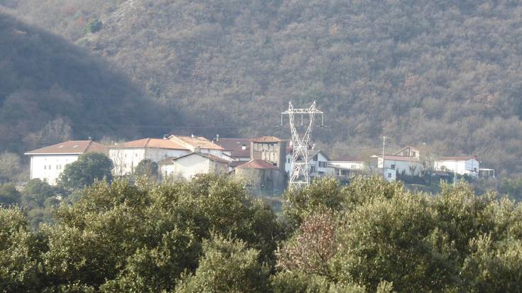 Kontzejuak baso aprobetxamendua saldu du