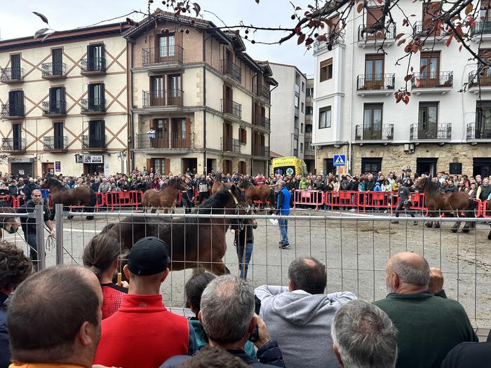 Ferietan 23 sari banatu zituzten