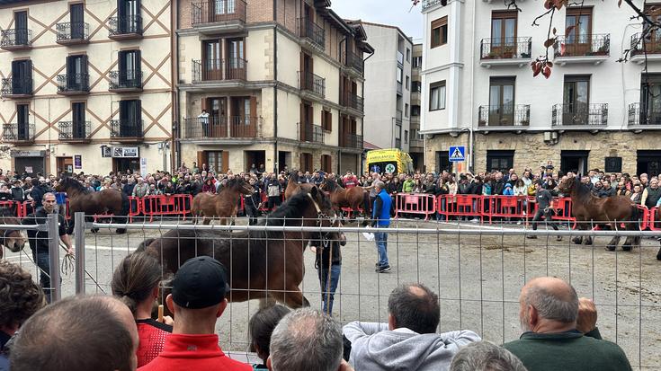 Ferietan 23 sari banatu zituzten