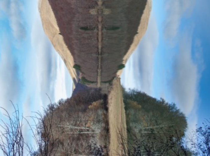 'Mari, lamiak eta basoaren aztarnak' erakusketa