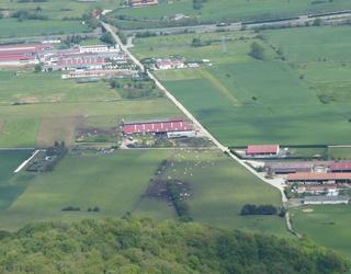 Jeingenekoari ustiategi batzuen erabilera aldatzeko baimena eman diote