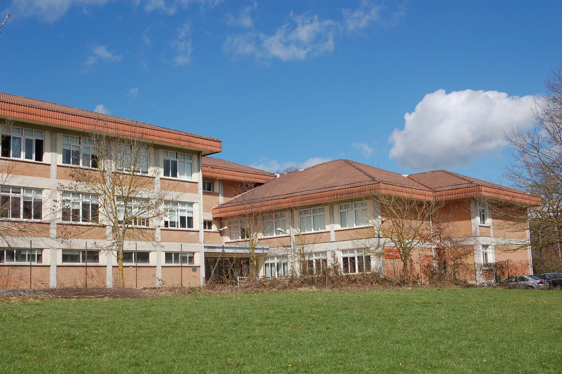Institututik Institutura, babesa