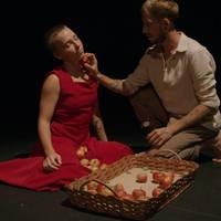 'Yerma' dantza emanaldia Altsasun