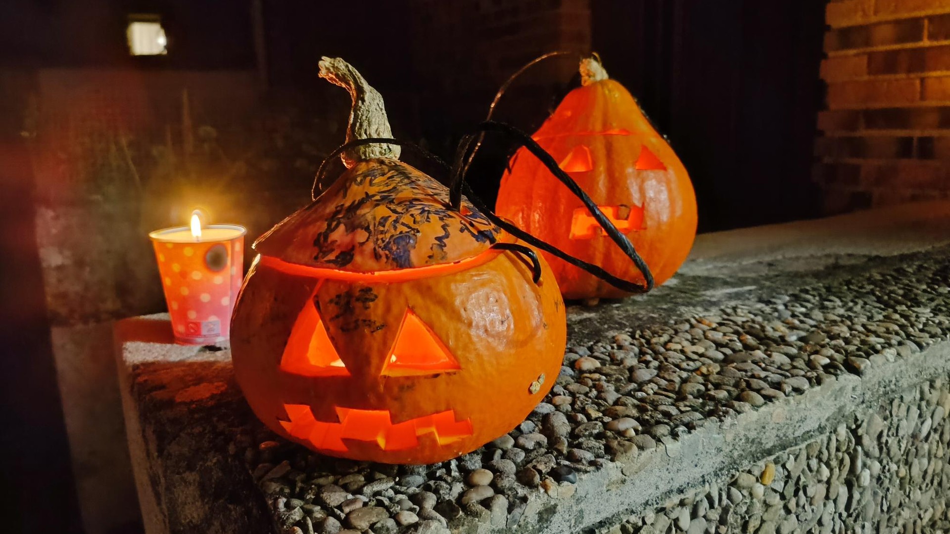 Kalabazak eta arbiak prestatu