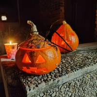 Gau beltza miseriotsua