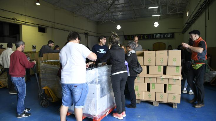 Errigora, udaletako oharrak eta kamioiak zuhaitzak jo zituenekoa