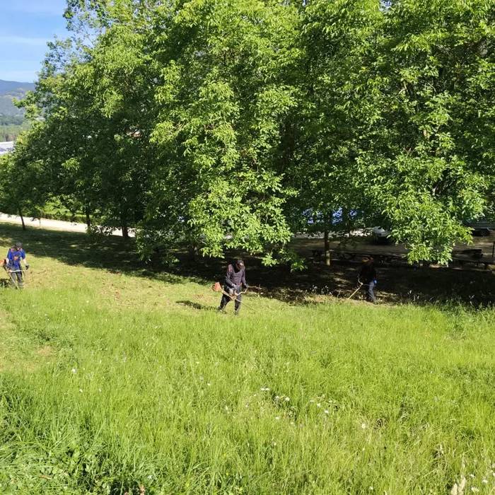 Suteen kontrako prebentzio lanak