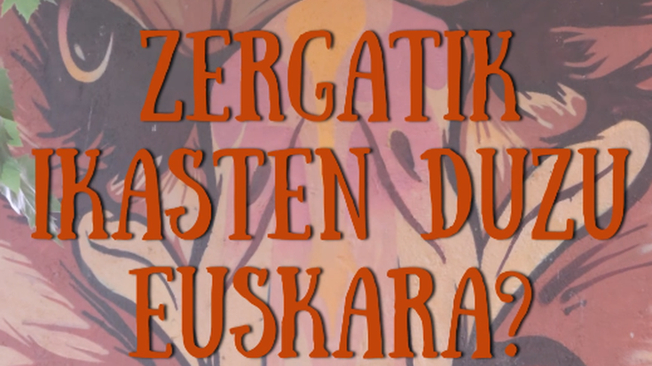 Zergatik ikasten duzu euskara?