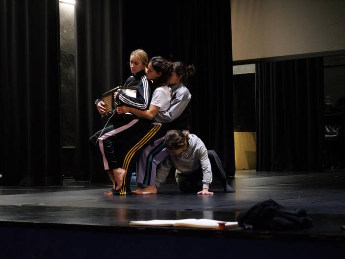 'Etena dena' dantza ikuskizuna, Altsasun