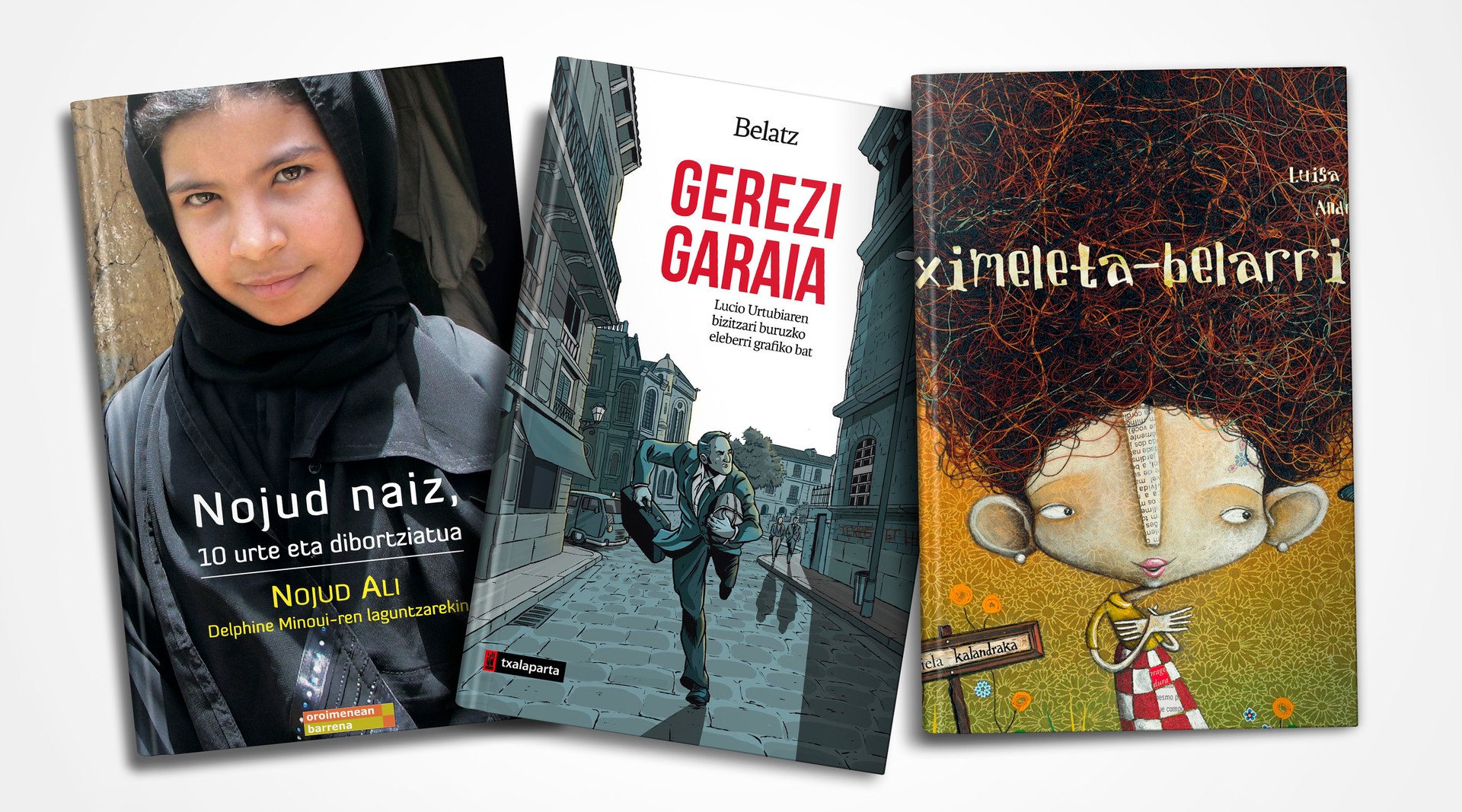 Arbizuko liburutegiaren gomendioak