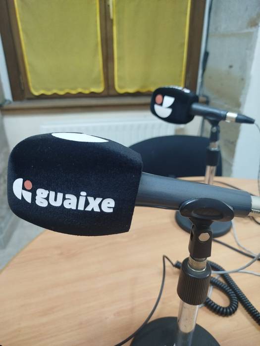 Solasaldia gaur
