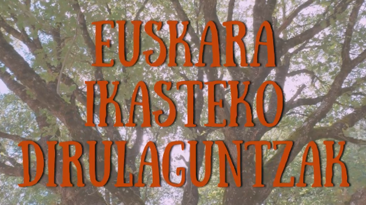 Euskararekin gehiago: Euskara ikasteko dirulaguntzak