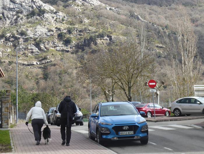 Arriskutsuak izan daitezkeen animalien ordenantzako aldaketa indarrean