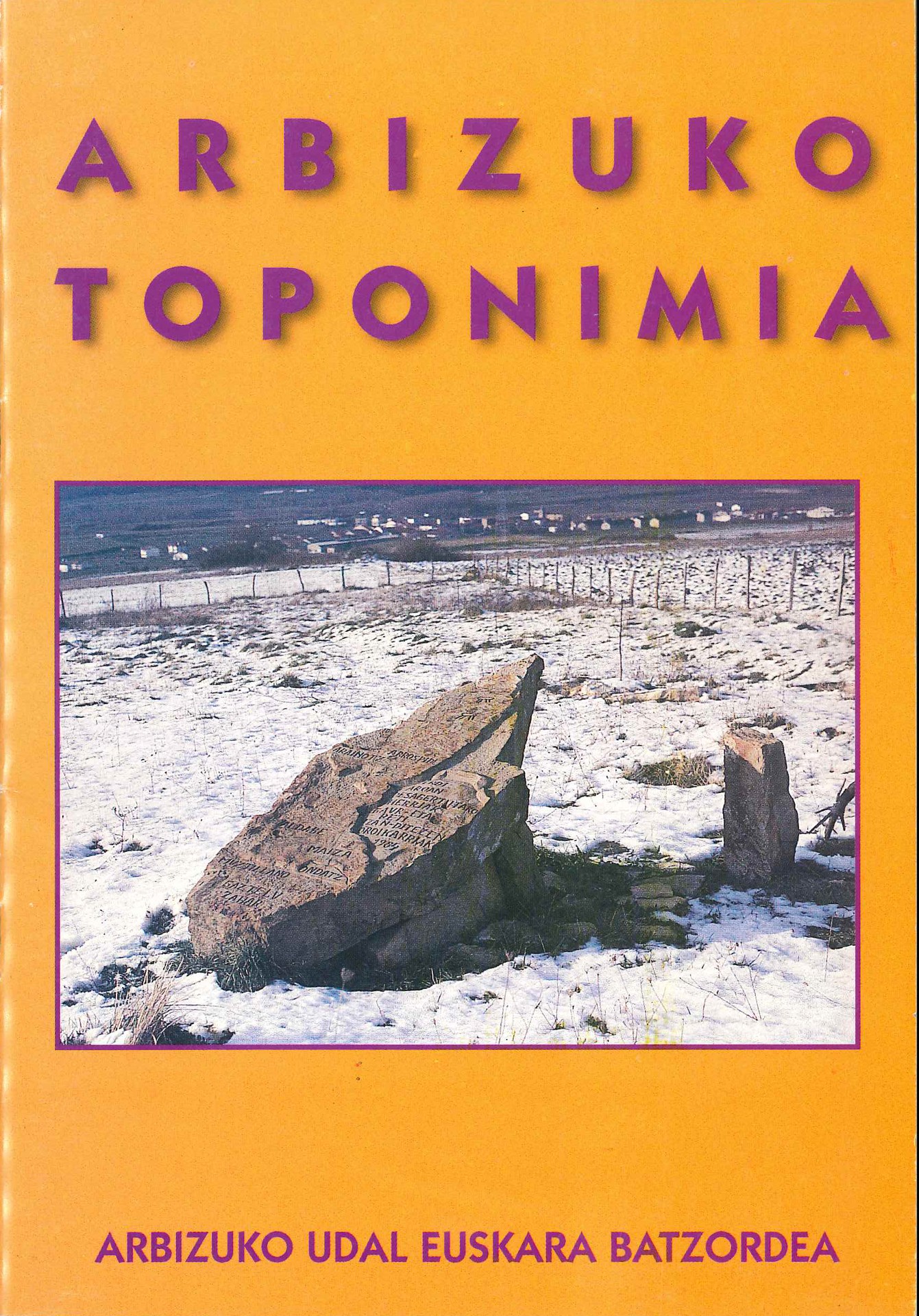 Arbizuko toponimia