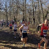 Kroseko korrikalari onenak Altsasun bilduko dira