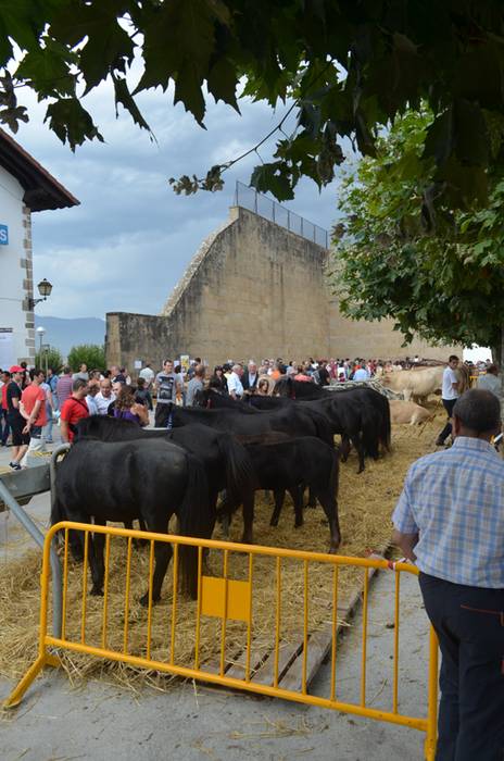 Hamaikagarren Irurtzungo eta Arakilgo Azoka