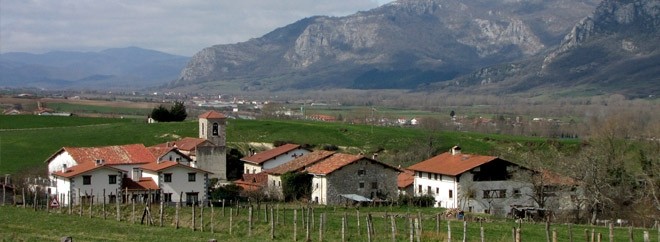 Kontzeju-buru berria