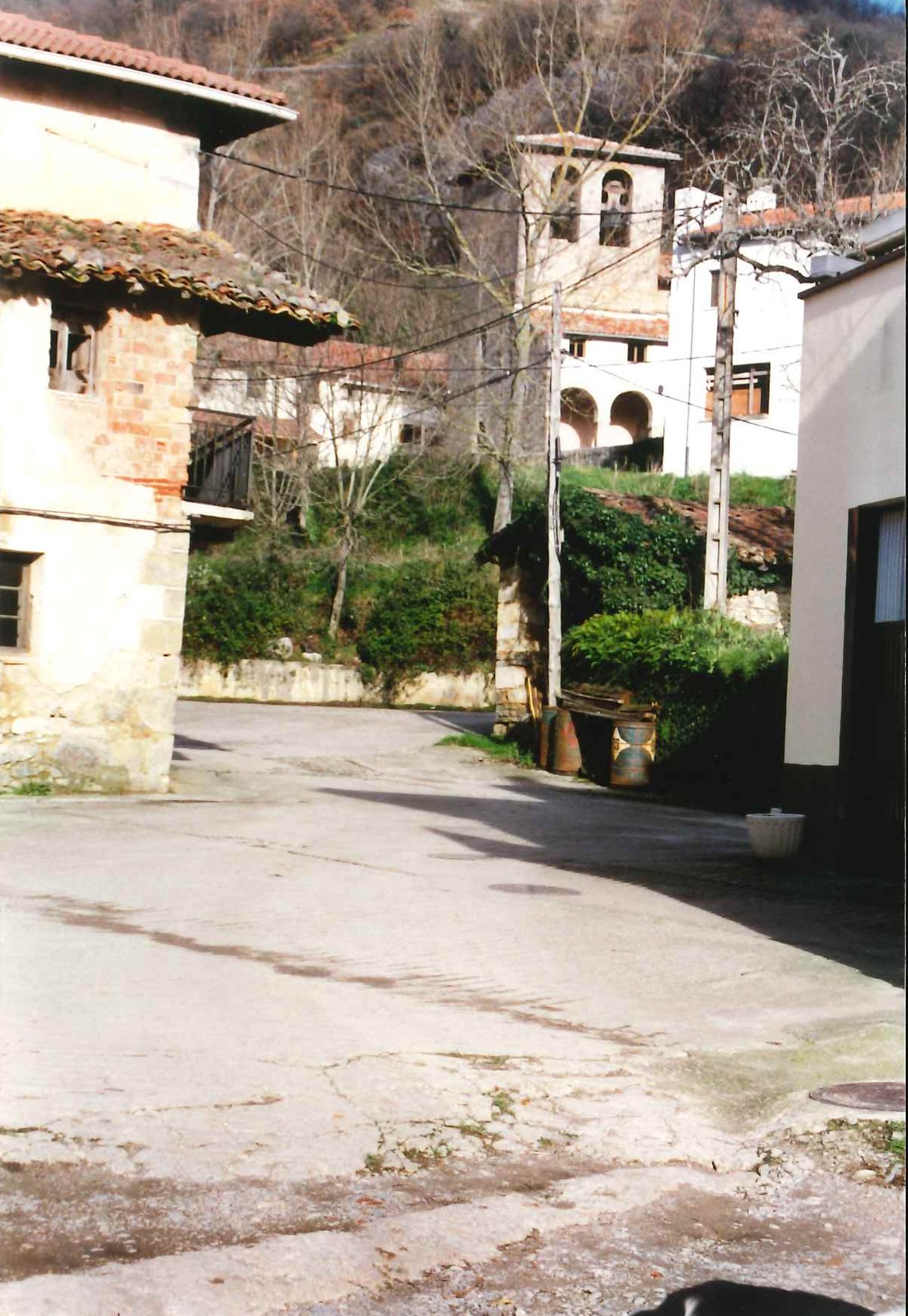 Egiarretan populazioa behera