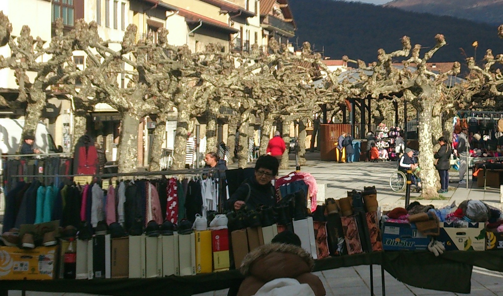 Populazioa hartzen dugun ibarra gara