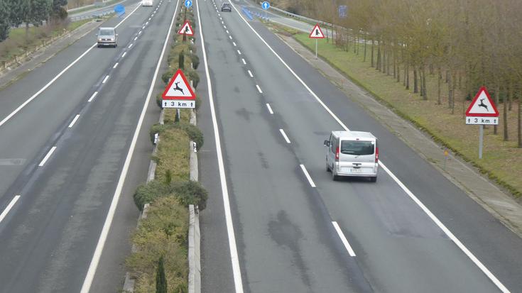 Nafarroako Gobernuak Nafarbide eratu du