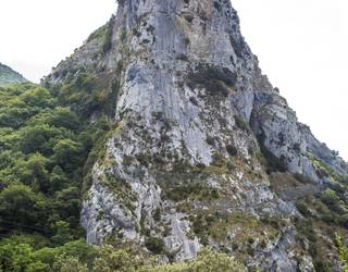 Biahizpen eskalada jarduera mugatu du gobernuak