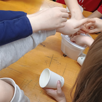 Anatomia tailerra liburutegian