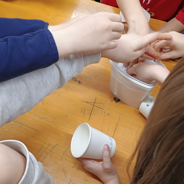 Anatomia tailerra liburutegian