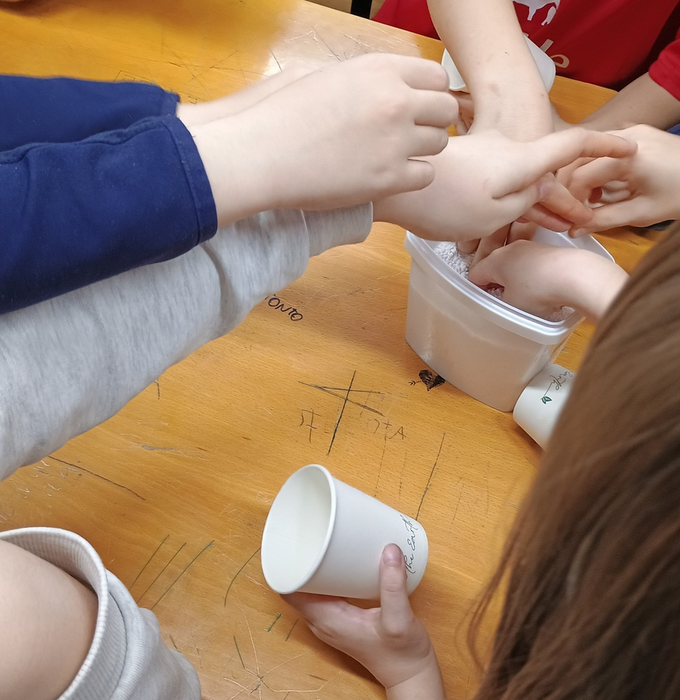 Anatomia tailerra liburutegian