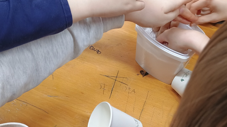 Anatomia tailerra liburutegian