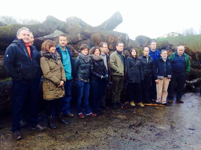Baleontzirako egurra Zerainen zerratzen