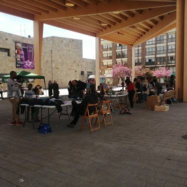 Elkartasun azoka, Altsasun