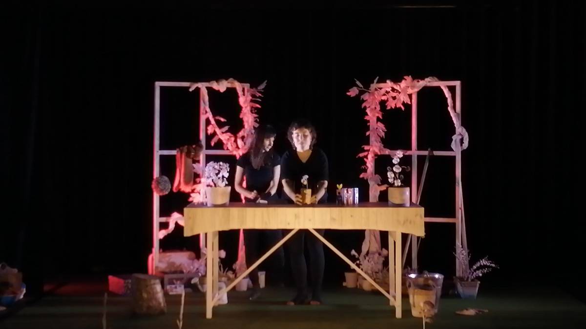 Belaunaldien arteko kultur ekimenak