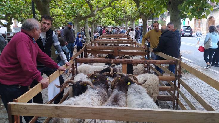 Feria asteburua Etxarrin