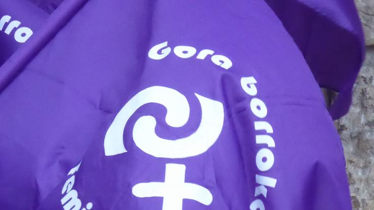 Aliantzetarako dei feminista