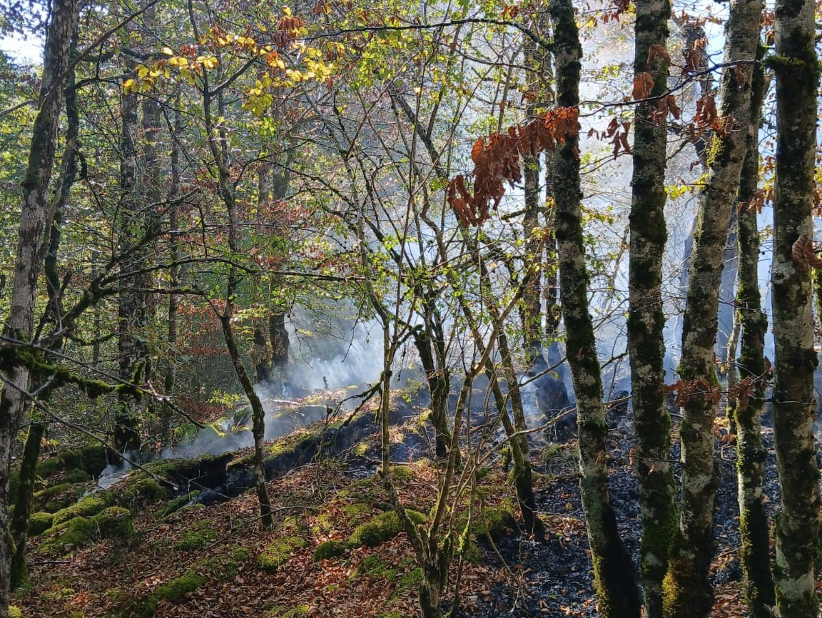 Sutea izan zen Urbasan