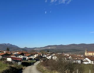 UEMAko kide izatea erabaki du Urdiainek