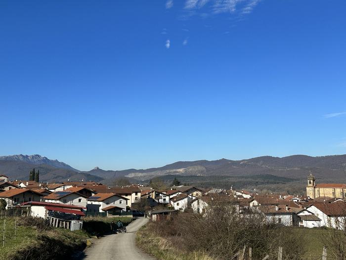 UEMAko kide izatea erabaki du Urdiainek