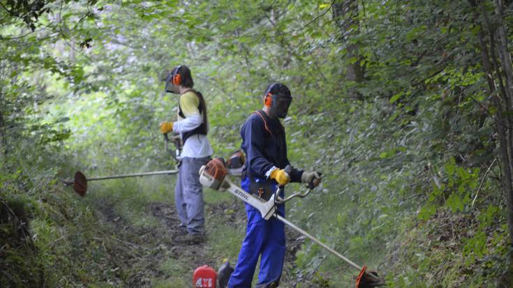 96 langabe gutxiago Altsasuko enplegu bulegoan izena emanda