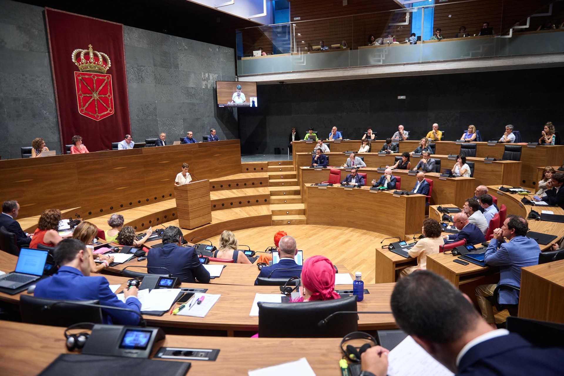 Inutilaren Egunaz, Parlamentuan